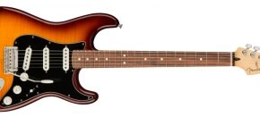Fender Player Stratocaster Plus PF (Tobacco Burst)