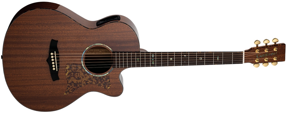 Tanglewood TW47 R E Electro Acoustic Cutaway 