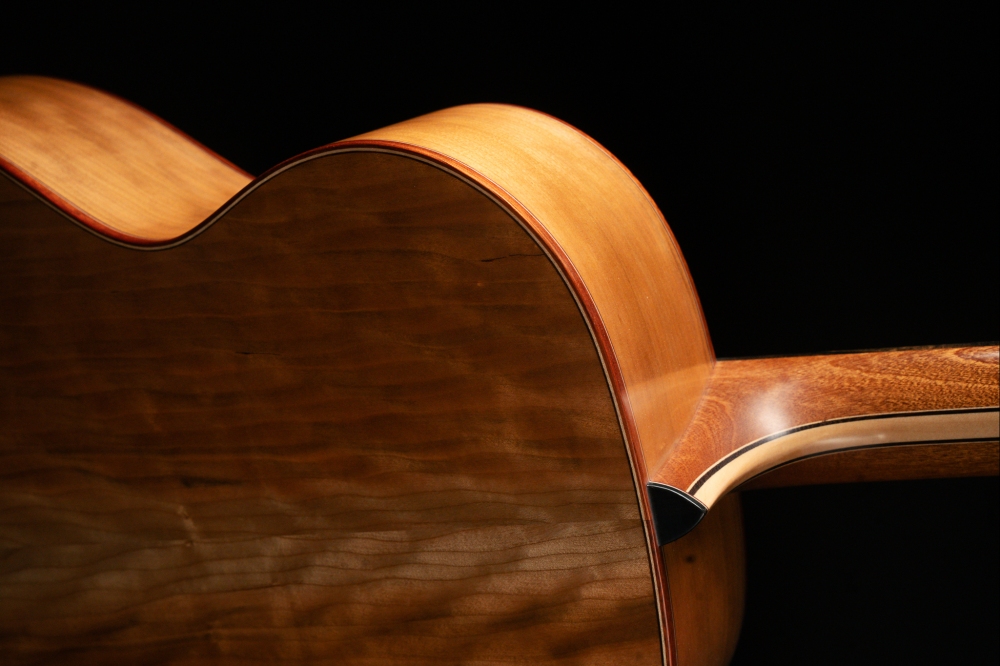 Avalon A315 (Performer Series) Acoustic Guitar