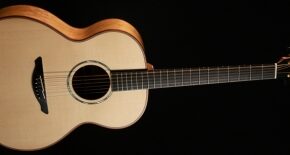 Avalon A315 (Performer Series) Acoustic Guitar