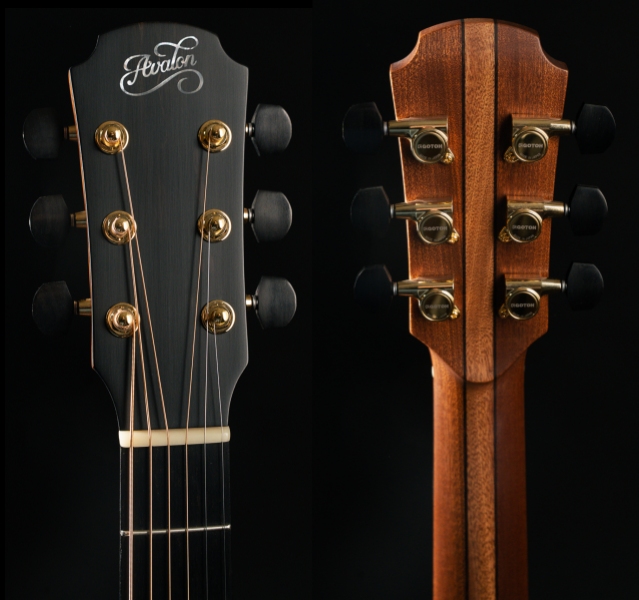 Avalon S35 (Performer Series) Acoustic Guitar