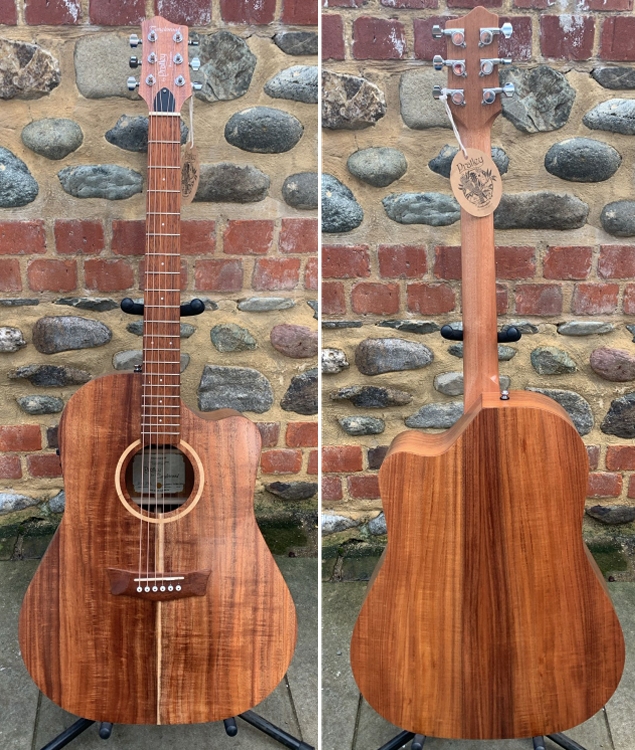 Tanglewood by Pratley TWPD-SCE BWVB (Electro-Dreadnought)