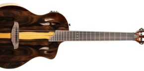 Ortega RTP-LTD Solid Electro Classical