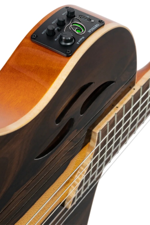 Ortega RTP-LTD Solid Electro Classical